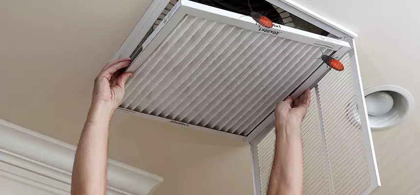 Preventive Cockroach-Proofing for Ducts in Petersburg