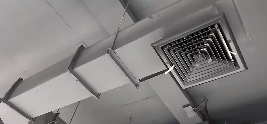 Our Pest Removal From Ducts Services in Petersburg, VA