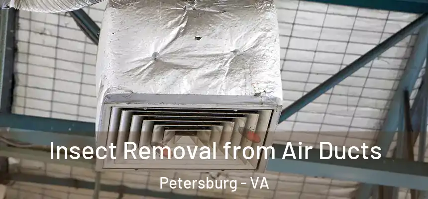 Insect Removal from Air Ducts Petersburg - VA