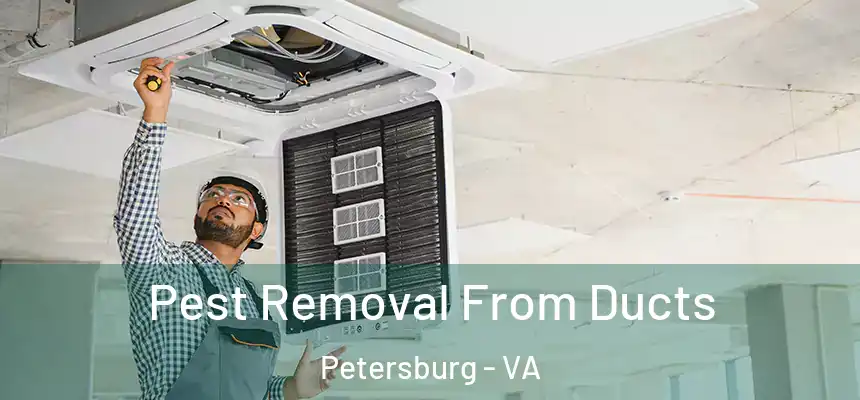 Pest Removal From Ducts Petersburg - VA