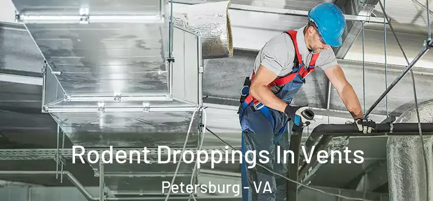  Rodent Droppings In Vents Petersburg - VA
