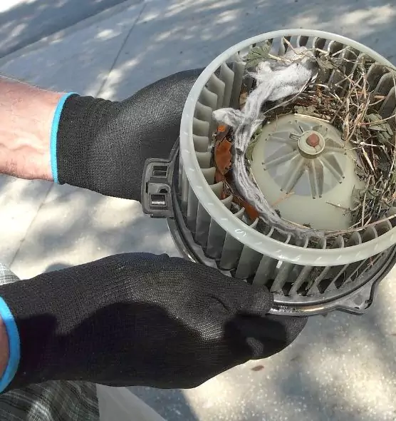 About Air Duct Rat Removal in Petersburg, VA