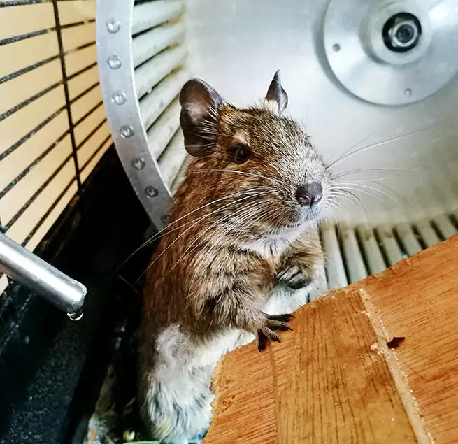 Why Homeowners & Businesses Trust Us Petersburg, VA?