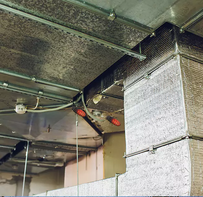 Why Homeowners & Businesses Trust Us Petersburg, VA?